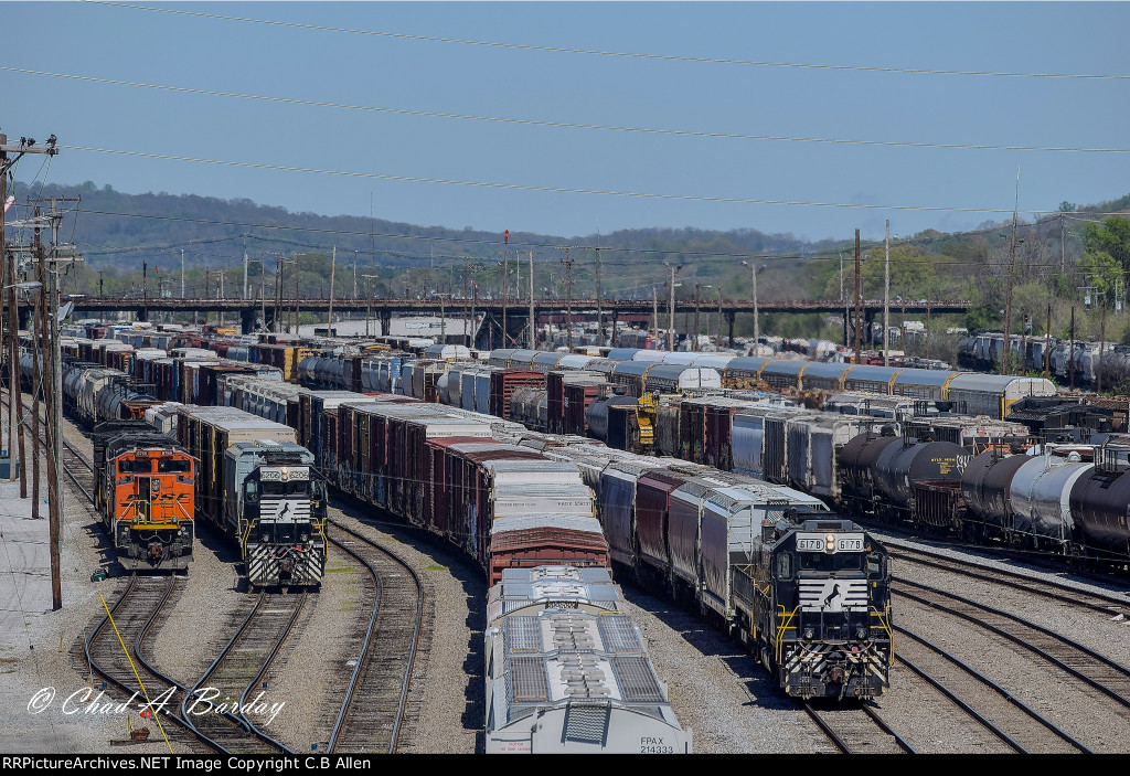 CHATTANOOGA, TN- NS DEBUTTS YARD